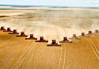 Michael-Pollan-Wheat-Monoculture